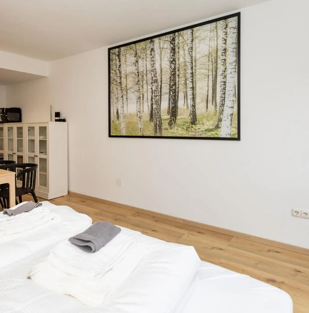 Grosse Ferienwohnung In Der Altstadt Wurzburg 0*,  Germany